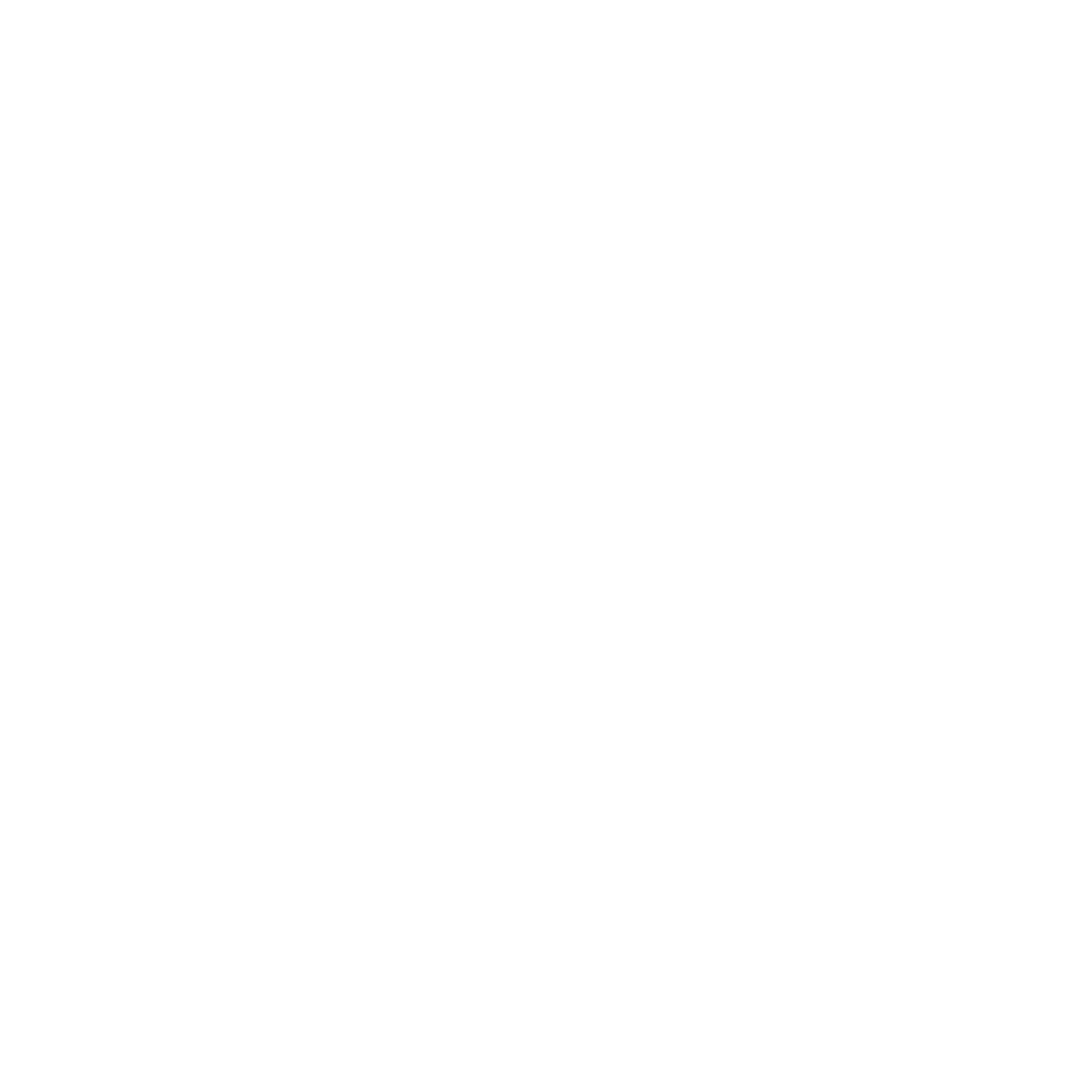 VL2K Icon